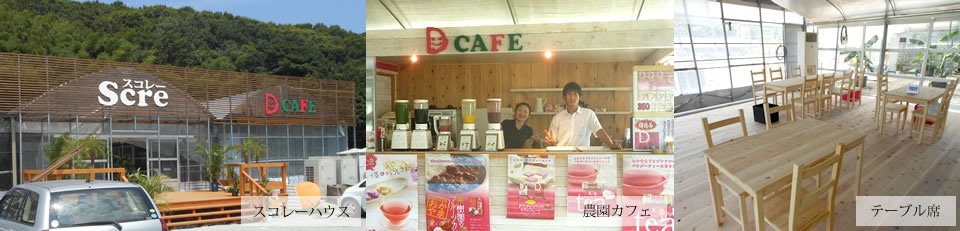スコレーハウスと岡山の農園カフェDCAFA